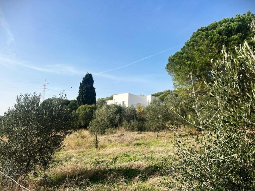 Agreen Country House Olbia Exteriör bild