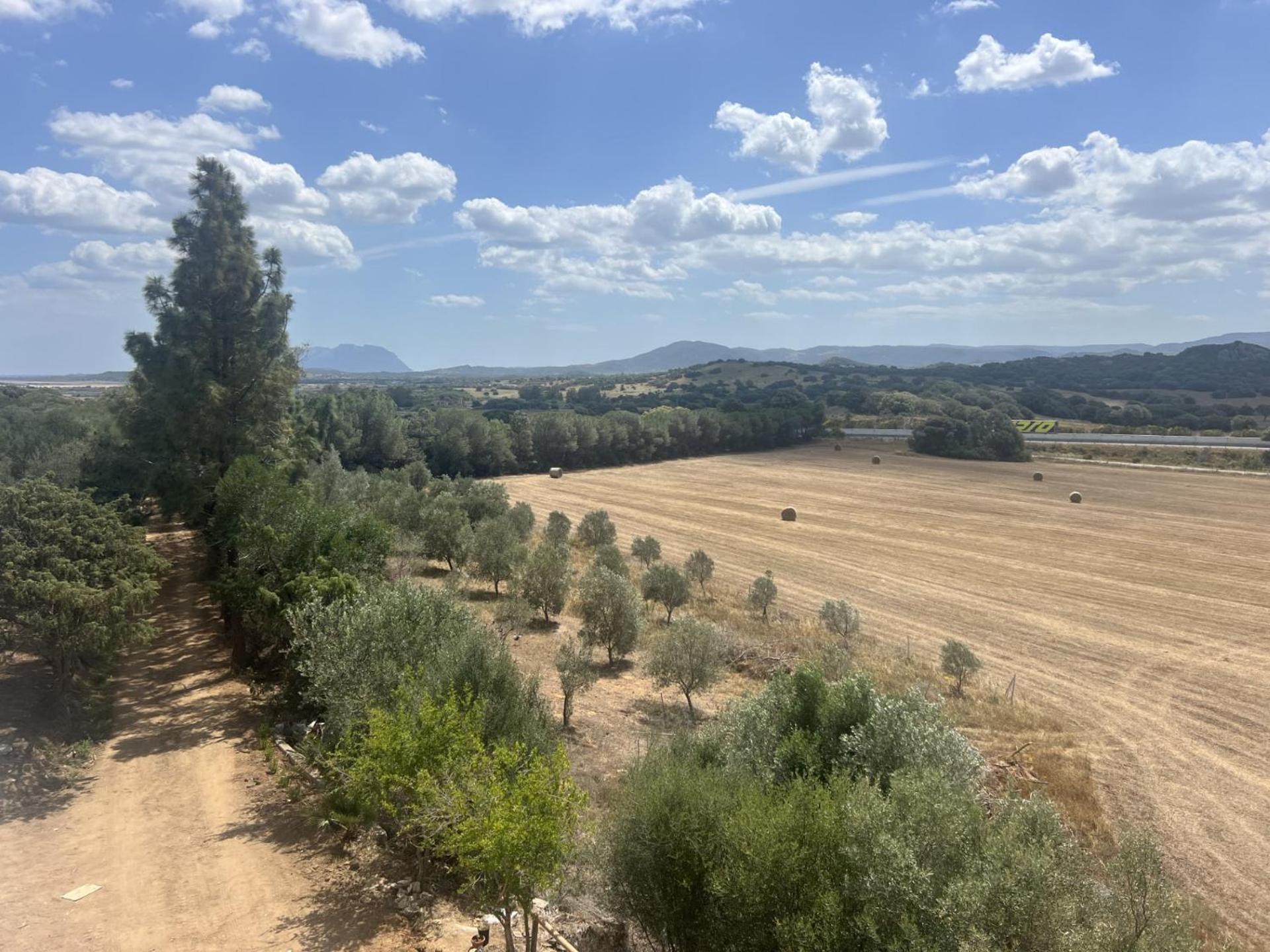 Agreen Country House Olbia Exteriör bild