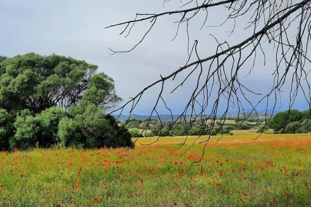 Agreen Country House Olbia Exteriör bild